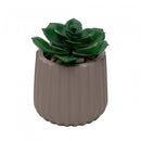 Cachepot com Sucelenta Artificial Prismatto 8cm x 10cm Marrom Cimento - Lyor