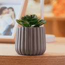 Cachepot com Sucelenta Artificial Prismatto 8cm x 10cm Marrom Cimento - Lyor