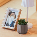 Cachepot com Sucelenta Artificial Prismatto 8cm x 10cm Marrom Cimento - Lyor