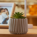 Cachepot com Sucelenta Artificial Prismatto 9cm x 10cm Cinza Cimento - Lyor