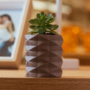 Cachepot com Sucelenta Artificial Prismatto 6cm x 10cm Marrom Cimento - Lyor