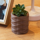 Cachepot com Sucelenta Artificial Prismatto 6cm x 10cm Marrom Cimento - Lyor