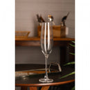 Jogo 6 Taças de Champagne De Cristal Ecológico Bohemia Columba Optic 260Ml - Wolff